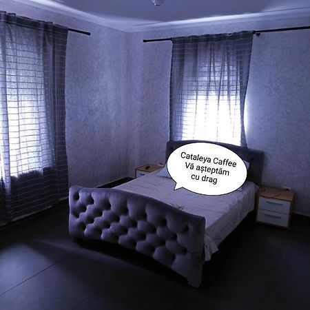 Cataleya Caffee Hostel Radauti Ngoại thất bức ảnh